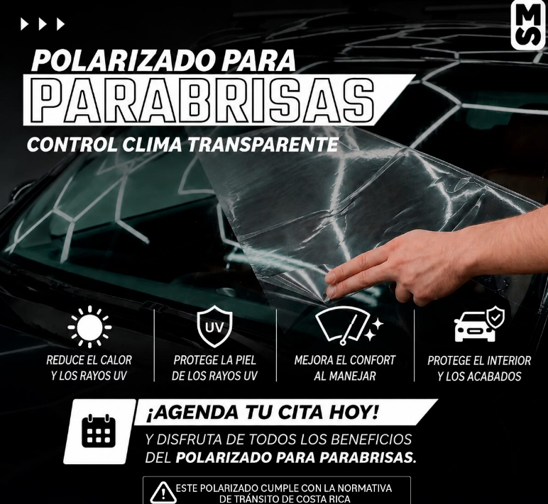 Polarizado Premium